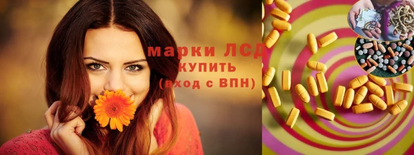 ГАЛЛЮЦИНОГЕННЫЕ ГРИБЫ Алексин