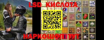 PSILOCYBIN Краснознаменск