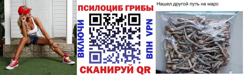 купить blacksprut зеркало Псилоцибиновые грибы мухоморы Зерноград