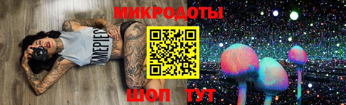 Псилоцибиновые грибы Cubensis Зерноград